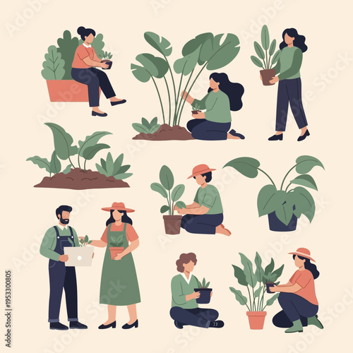 People are planting and caring potted plants.