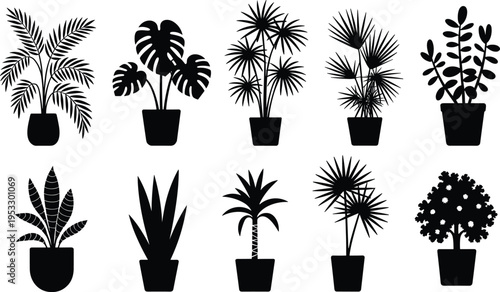 Potted plant silhouettes set, tropical indoor houseplants and decorative foliage vector illustration, black botanical clipart collection isolated on white background for home decor design