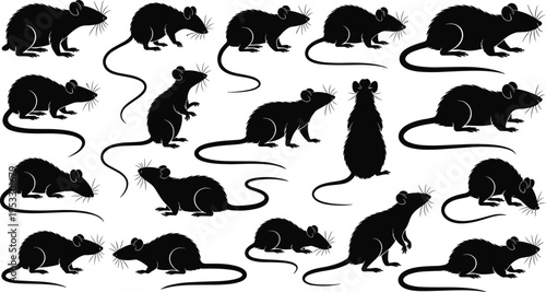 Rat silhouettes set, detailed black rodents in various poses vector illustration, pest animal clipart collection isolated on white background for design elements