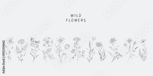 Delicate botanical illustration featuring various sketched wildflowers in grayscale