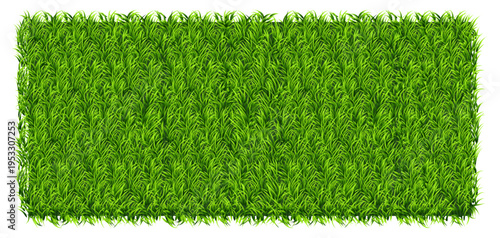 Green grass texture natural lawn banner background vector