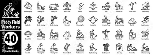 Paddy field workers concept. Collection of farmer works with agricultural tools on a paddy field, harvesting rice, and planting rice, vector illustration.