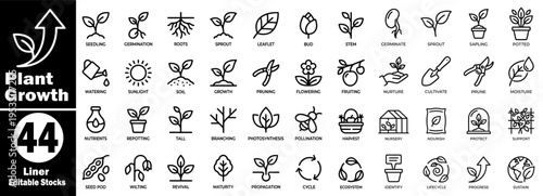 Plant growth line art concept. Collection of seedling, sprouting, germination, roots, cultivation, pruning, flowering, fruiting, nurturing vector illustration.