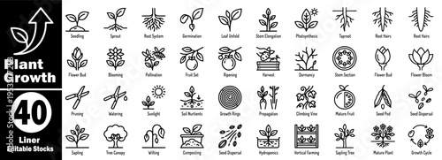 Plant growth concept. Collection of seedling, sprouting, germination, roots, cultivation, pruning, flowering, fruiting, nurturing vector illustration.