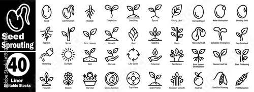 Seed sprouting icons set. Collection of seed germination, rootlet, cotyledon, seedling, sprout, young leaf, dormant seed, water absorption process vector illustration.