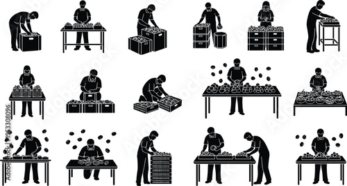 Workers sorting fruits and vegetables at tables silhouette set agriculture harvest processing packing concept vector illustration for farming industry