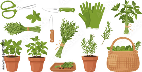Herb Gardening Tools Set with Pruning Shears, Knife, Green Gloves, and Fresh Herb Bundles in Pots and a Basket for Organic Herb Gardening