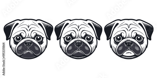 Pug dog heads three distinct cute cartoon expressions with playful features and simple outlines on a white background, vector art.