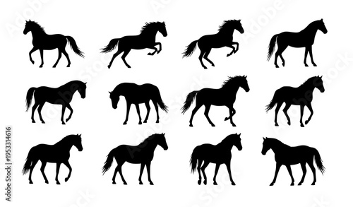 Horse silhouette vector set with running standing and rearing horse poses realistic black animal icons isolated on white