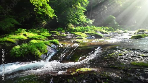 新緑の菊池渓谷