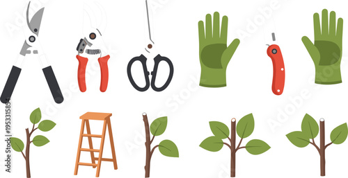 Garden Tools and Equipment Set Including Pruning Shears, Ladder, and Gloves with Tree Branch Illustrations