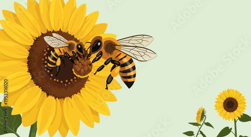 Bee on a sunflower collecting nectar.