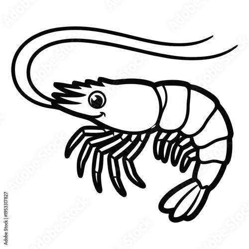 Detailed shrimp illustration with long antennae and claws