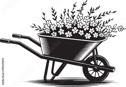 Black wheelbarrow filled with white flowers and leaves