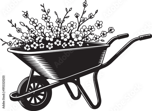 Black wheelbarrow filled with white flowers gardening