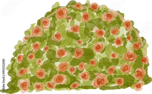 Watercolor Rose Bush with Orange Flowers and Green Leaves
