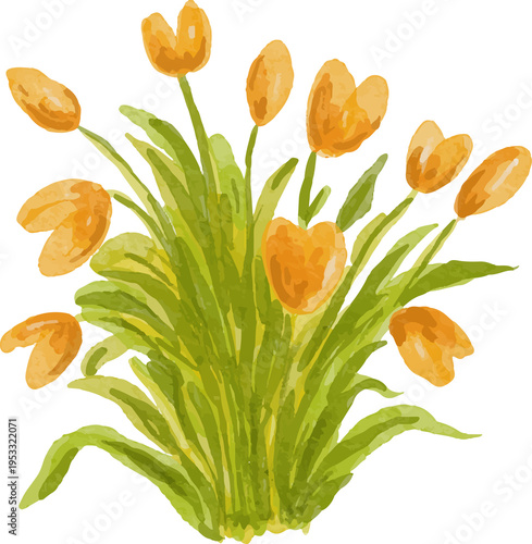 Vibrant Orange Tulips Bouquet Watercolor Style Isolated on Black