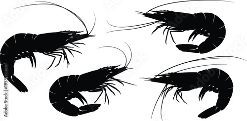 Shrimp silhouettes, marine crustacean vector, seafood illustration, black shrimp design, aquatic animal icon, biology education, restaurant branding, shellfish anatomy, culinary art graphic