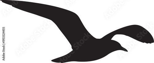 Black silhouette of a seagull in flight bird flying