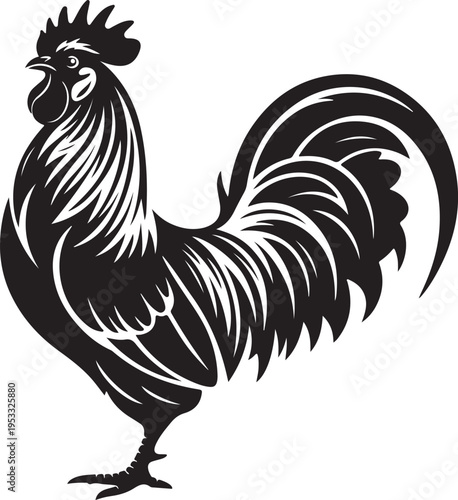 Vector illustration of rooster