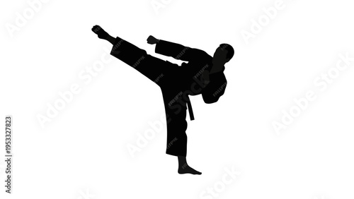 A black silhouette of a person in a martial arts pose, kicking with one leg extended, against a clean white background, conveying a sense of dynamic movement and focus.
