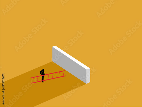 minor business challenge with small walls and stairs. businesswoman stands in front.