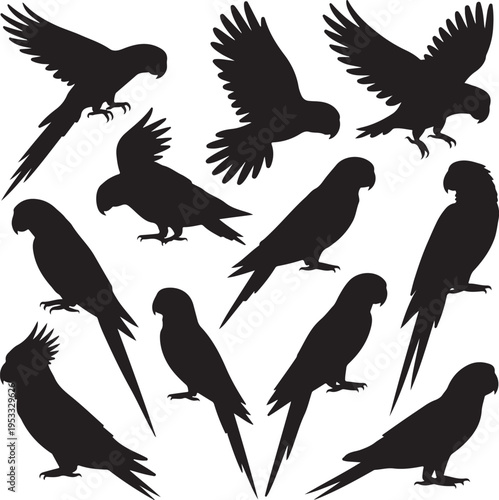 Vector parrot silhouettes of amazon jungle isolated on white background