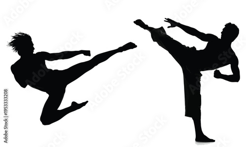 silhouette of a kungfu fighters 