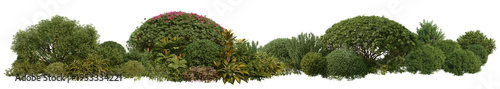 3D render of flowering shrubs on a transparent background