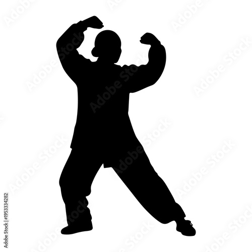 Silhouette of person performing Tai Chi martial art, vector illustration