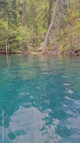 Panning shot of a pristine mountain lake with transparent water and pine trees, vertical.