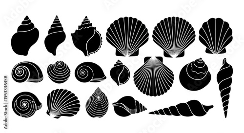 Collection of various seashell silhouettes.