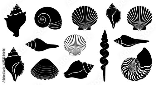 Collection of various seashell silhouettes on white background.