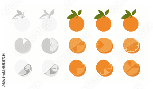 Citrus orange vector set whole fruit slices and segments outline solid styles