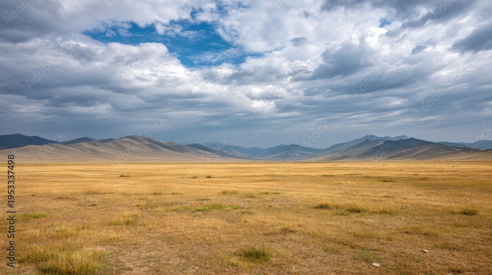 Obraz premium Expansive Golden Grassland Under Dramatic Cloudy Sky in Remote Mountain Landscape