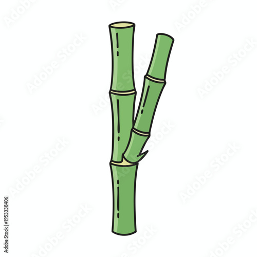 Two segmented green bamboo stalks, one taller, one branched