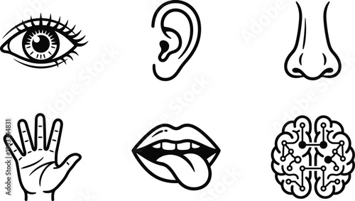 Human Five Senses Icon Set Featuring Vector Silhouettes of Eye Ear Nose Hand Tongue and Artificial Intelligence Digital Brain for Sensory Perception Education