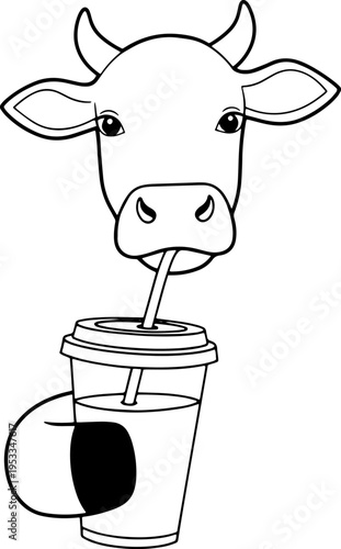 Cow Drinking Milk from Straw.