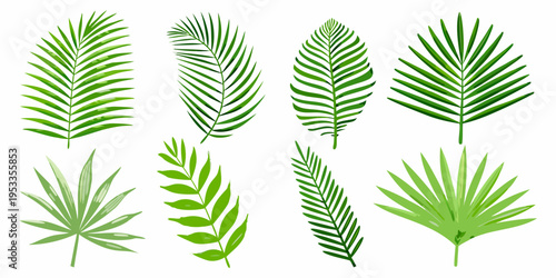 A collection of vibrant green tropical palm leaves on white background