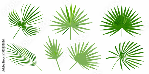 Collection of vibrant green palm leaves in varying shapes and sizes