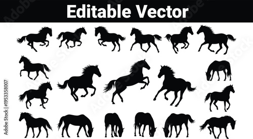 Horse silhouettes: galloping and grazing poses