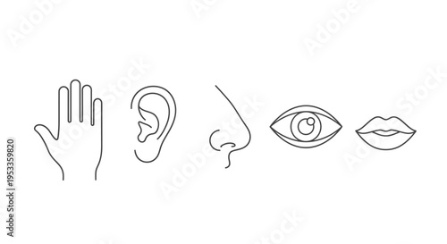five human senses line art icons hand ear nose eye and mouth for health education and anatomy concepts.