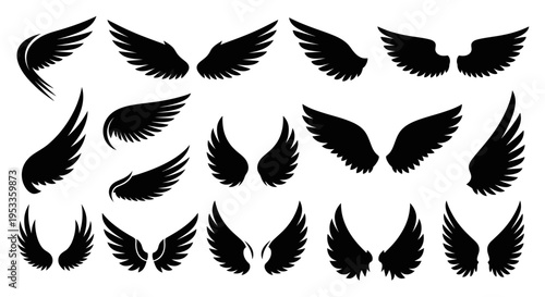 stylized wing collection featuring elegant angel and powerful bird designs isolated for graphic resources and symbolic use.