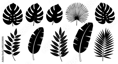 tropical leaves black silhouette vector illustrations set featuring monstera palm and banana plants ideal for exotic botanical design.