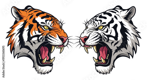 Dynamic illustration of two fierce tiger heads, one orange and one white, engaged in a powerful, symmetrical confrontation, symbolizing strength and competitive spirit