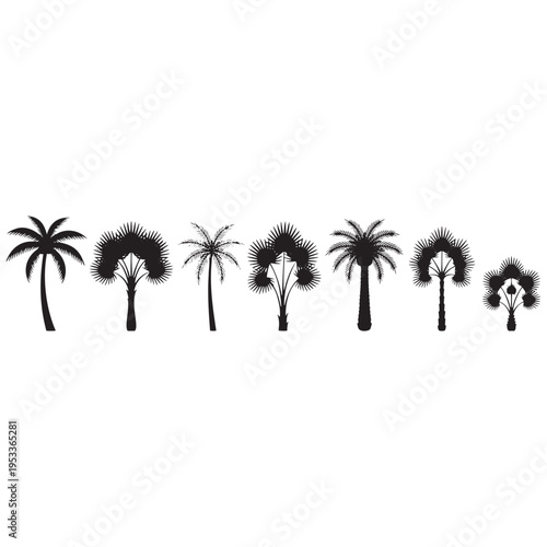 Set of 7 palm tree icons vector