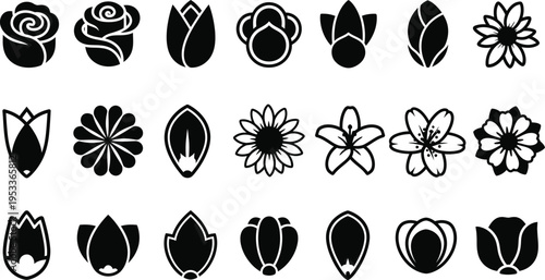 Black and white floral black and white flower silhouettes flowers blooms
