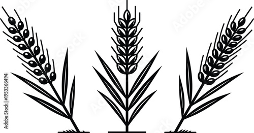 Minimalist black and white wheat stalk vector illustration set featuring organic grain ears for bakery logos, agricultural branding, harvest festivals, and flour packaging