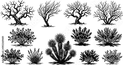 Set of Desert Plant Silhouettes and Bare Tree Illustrations Featuring Yucca Shrubs and Scrubland Vegetation Isolated on White Background for Outdoors Vector Design