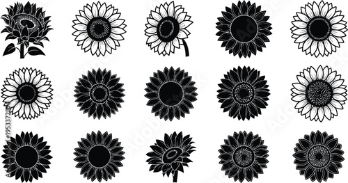 Black and white sunflower sunflowers flowers floral